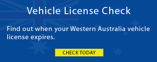 Vehicle License Check